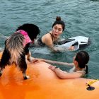 AQUAHOLIC - Dog On Watermat with iAqua Nano Beside